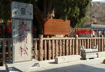 四门塔-涌泉竹林第 21 张图片