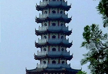 老龙湾第 39 张图片