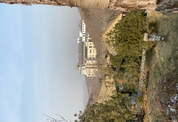 西部长青第 48 张图片