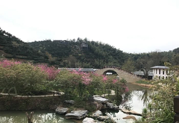 虔心小镇第 34 张图片