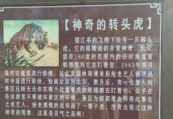 明月岛第 157 张图片