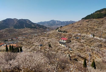 北宅生态旅游区第 3 张图片