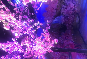 扑通三国沉浸式喜剧第 12 张图片