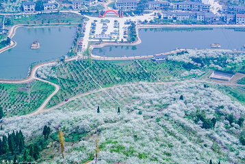 统景印盒李花生态旅游区第 13 张图片