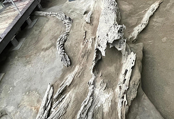 金沙遗址博物馆第 59 张图片