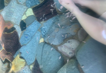 宁海森林温泉第 36 张图片