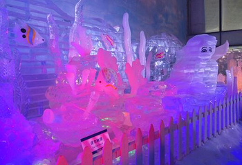 世界之窗-阿尔卑斯冰雪世界第 41 张图片