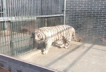 汴京公园动物园第 6 张图片