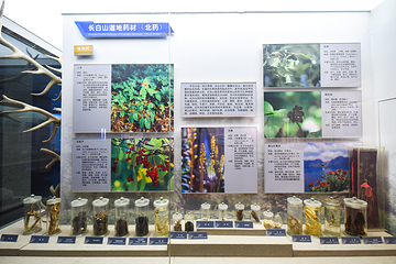 长白山自然博物馆第 48 张图片