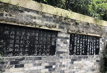 沈园第 112 张图片