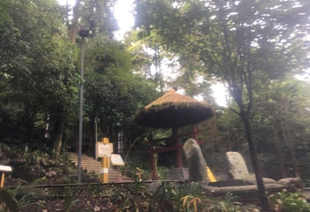花水湾温泉度假区第 102 张图片