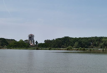 大湾区中央湿地公园第 55 张图片