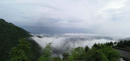 东天目山景区第 46 张图片