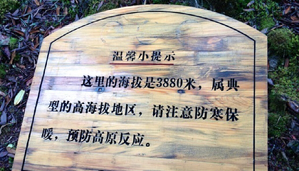 老君山九十九龙潭景区第 16 张图片