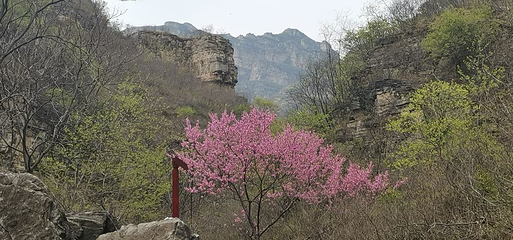 西胜沟第 7 张图片