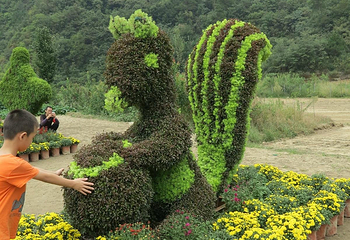 千菊百卉园（菊花文化节）第 16 张图片