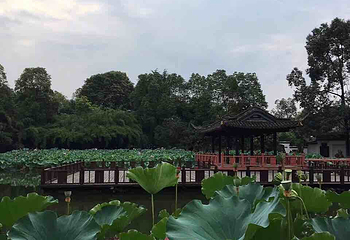 望丛祠第 18 张图片