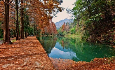 朱家山国家森林公园第 4 张图片