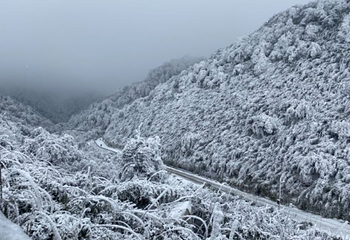 金佛山北坡景区第 28 张图片