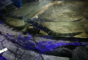云龙湖水上世界第 31 张图片
