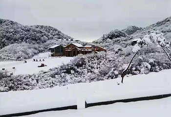 金佛山北坡景区第 48 张图片