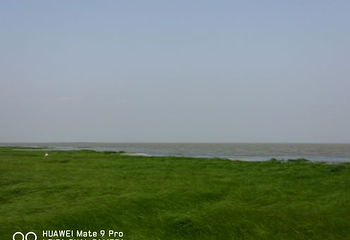 鄱阳湖国家湿地公园第 66 张图片