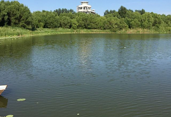 大安嫩江湾旅游区第 17 张图片