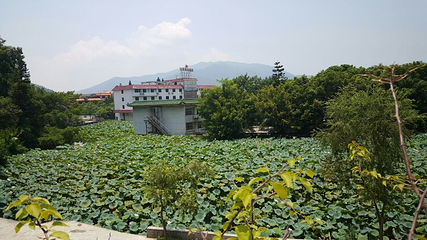 国恩寺第 42 张图片