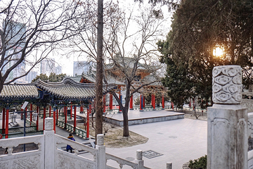 白塔山公园第 26 张图片