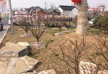梅花湾第 47 张图片