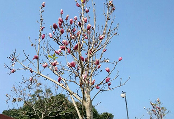 福友生态农场第 16 张图片