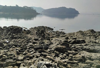 小长山岛第 14 张图片
