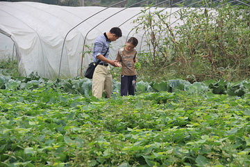 新津田园牧歌农场第 16 张图片