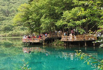 甲勿海·熊猫园景区第 27 张图片