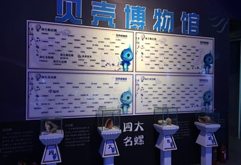 贝壳梦幻世界第 88 张图片