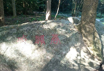 海南热带植物园第 11 张图片
