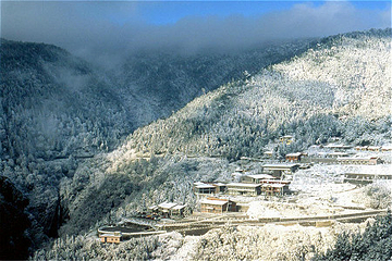 太平山森林游乐区第 24 张图片