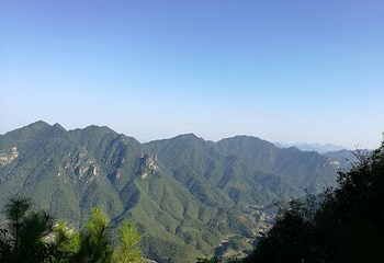 广西大瑶山国家级自然保护区第 31 张图片