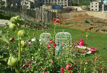 凉都花海温泉旅游度假区第 14 张图片