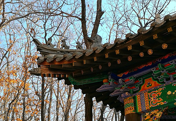 药泉山钟灵禅寺第 9 张图片