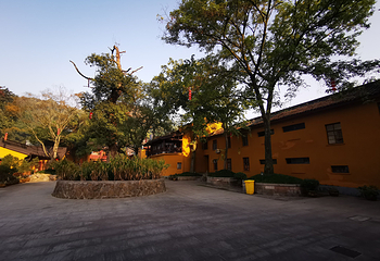 法镜寺第 13 张图片