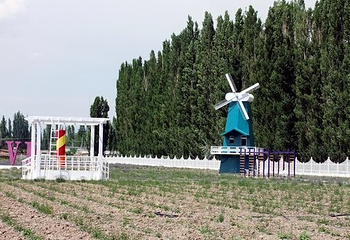 伊帕尔汗薰衣草观光园第 68 张图片