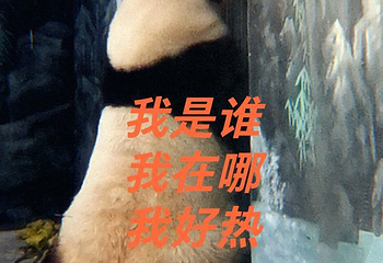 鄂尔多斯野生动物园第 31 张图片