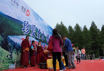 阿尔山白狼峰景区第 109 张图片