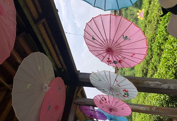 南湾湖风景区第 33 张图片