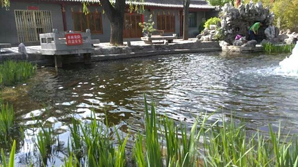 碑林公园第 12 张图片