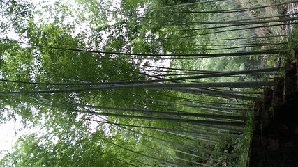 野鹤湫风景区第 27 张图片