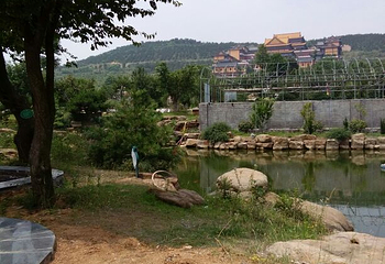 马泉养心谷第 25 张图片
