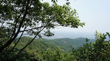 雨花胜境第 31 张图片