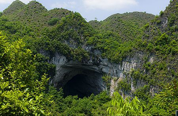大石围天坑群第 48 张图片